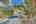 Blurred preview of media: 33 4200-havenrock