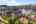 Blurred preview of media: 1-44
