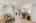 Blurred preview of media: 4 Bobby Jones Drive unit 4 Andover Massachusetts Job 40733 0019