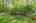 Blurred preview of media: 277 Main Street Bolton Massachusetts Job 38618 0022