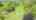 Blurred preview of media: DJI_0759