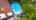 Blurred preview of media: 47