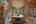 Blurred preview of media: 285 Silver Queen Drive, Breckenridge, CO 80424-Web-20