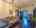 Blurred preview of media: 145 Ampthill Rd 2-58