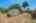 Blurred preview of media: 25