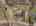 Blurred preview of media: 4-pueblo-trail-vernon-township-nj-usa-drone-007