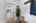 Blurred preview of media: DSC_6602
