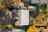 Blurred preview of media: Aerial 07