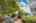 Blurred preview of media: 2-826-5639