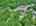 Blurred preview of media: DJI_20260613115454_0788_D_89_D_90_D_easyHDR