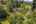 Blurred preview of media: 1-25