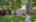 Blurred preview of media: IMG_5849