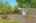 Blurred preview of media: 260115-29