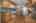 Blurred preview of media: 14