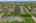 Blurred preview of media: DJI_20260924141020_0394_D