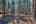 Blurred preview of media: IMG_9310_1_2_easyHDR