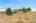 Blurred preview of media: 42812 Ricki Dr RS1 00002