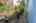 Blurred preview of media: SW 41st ave-50