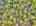 Blurred preview of media: DJI_20260505134405_0844_D_5_D_6_D_easyHDR