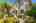 Blurred preview of media: Interior Pro Images 3098 Espana Ln FULL SHOOT-70