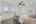 Blurred preview of media: DSC03699
