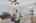 Blurred preview of media: 18313 E Crestline Cir 00004