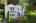 Blurred preview of media: Aerial 02