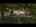 Blurred preview of media: Unknown media
