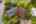 Blurred preview of media: 1-68