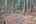 Blurred preview of media: IMG_0647_8_9_easyHDR