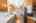Blurred preview of media: Renton 18308 Interior-06