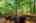 Blurred preview of media: 12