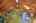 Blurred preview of media: IMG_0370_1_2