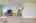 Blurred preview of media: 32-web-or-mls-iPixx_01_22