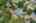 Blurred preview of media: DJI_0064