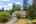 Blurred preview of media: 1-40