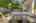 Blurred preview of media: 54