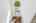 Blurred preview of media: Nerine_075