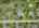 Blurred preview of media: 22-lauren-lane-sussex-nj-usa-drone-003