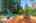 Blurred preview of media: 1-31