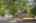 Blurred preview of media: 1-1