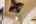 Blurred preview of media: 2025_01_January_47_Major_Ridge_Rd_0138