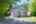 Blurred preview of media: 1