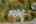 Blurred preview of media: 1-86