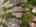 Blurred preview of media: DJI_20250606155300_0028_D