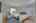 Blurred preview of media: 260110-39