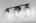 Blurred preview of media: DSC09534