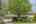 Blurred preview of media: IMG_1228