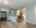 Blurred preview of media: 942 jefferson Dr-16