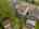 Blurred preview of media: DJI_20250606155447_0031_D